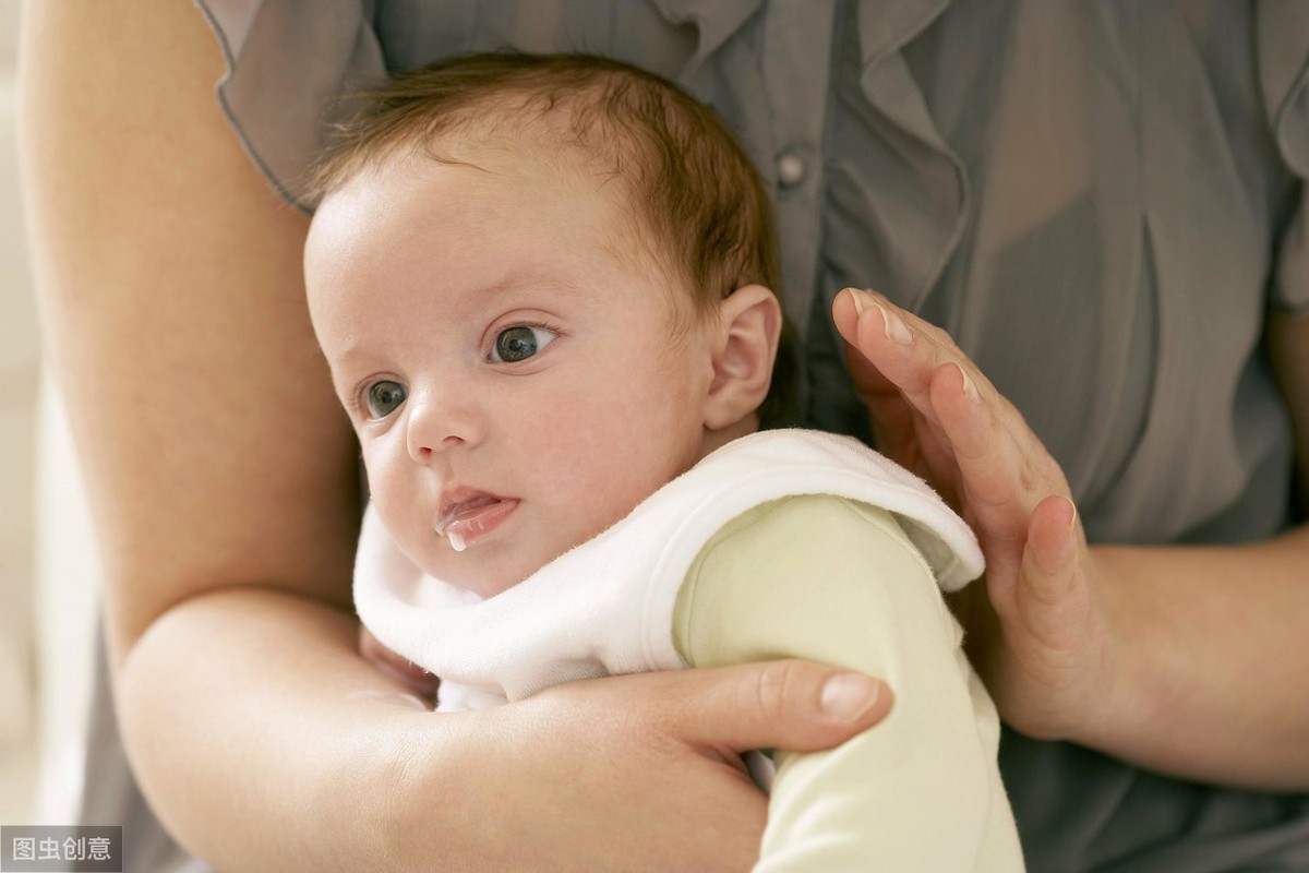 张家口市参与制定的《粟》新国标6月1日正式实施