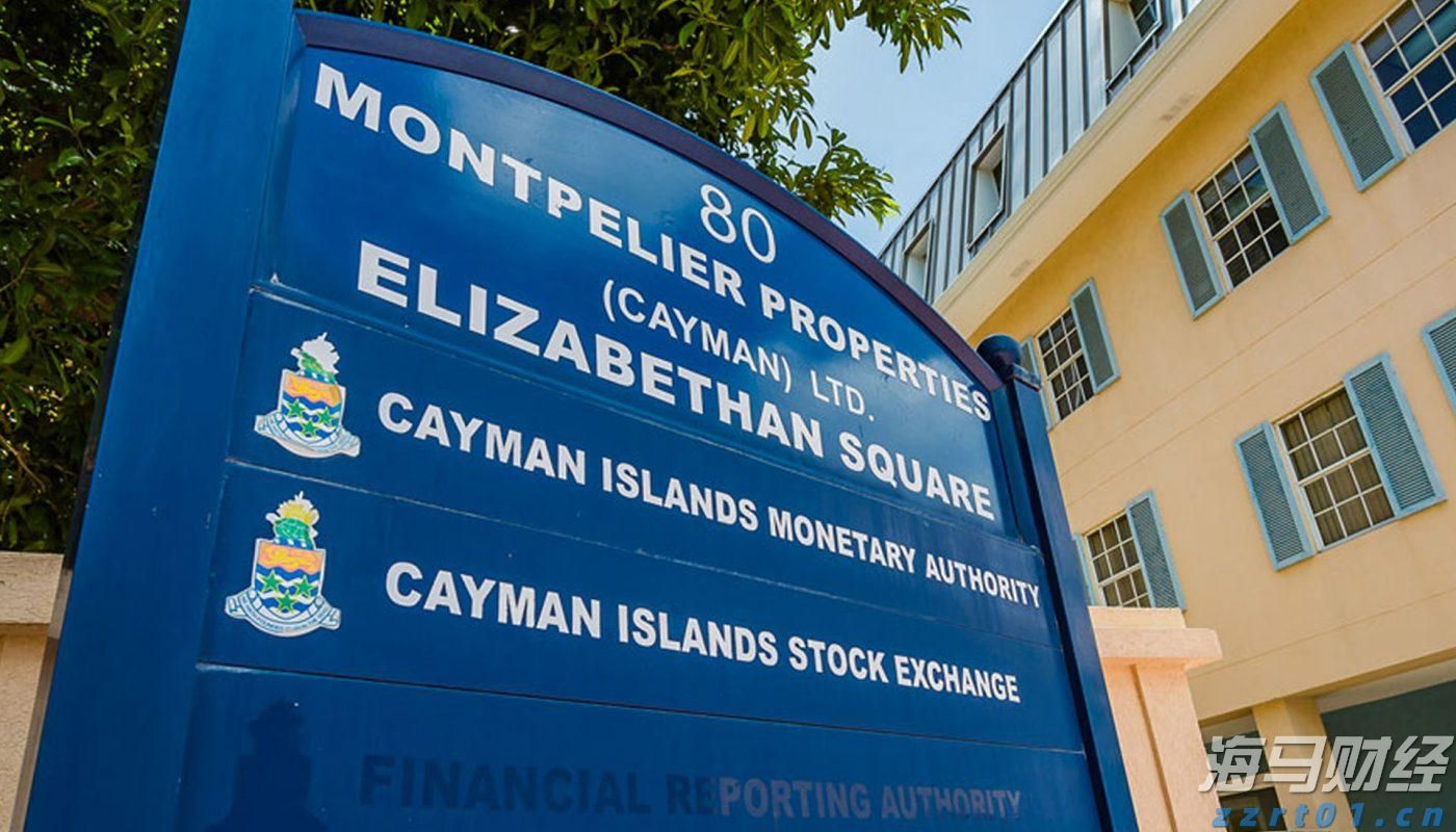 深耕创作沃土 讲好徐闻故事