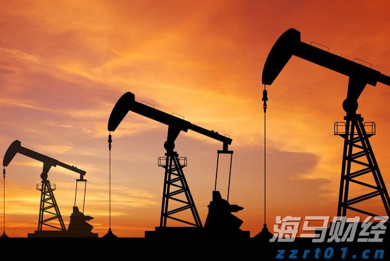 国宝“兄弟”冰城安家！大熊猫“芝士”“芝麻”抵达哈尔滨