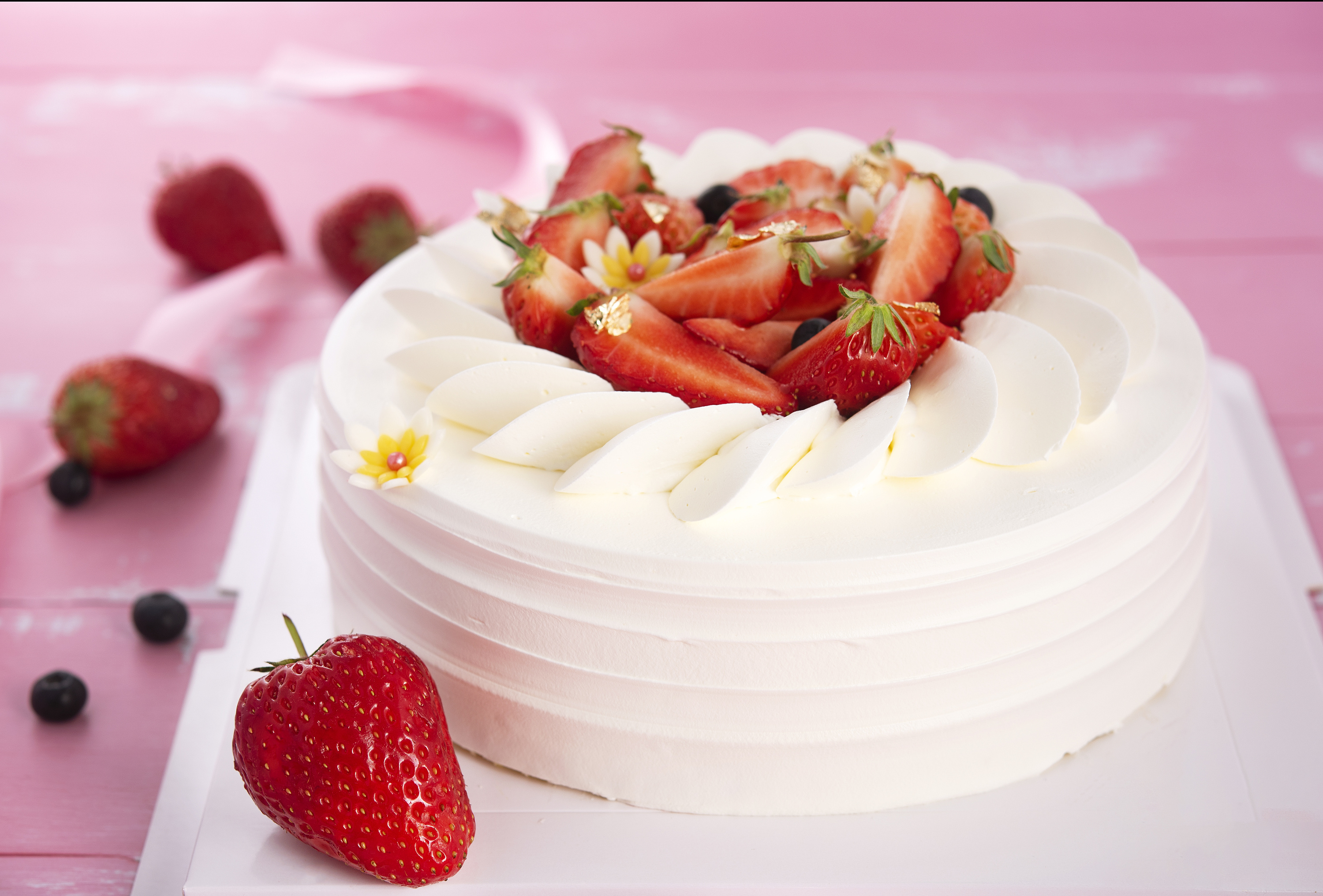 湛江市2025年高中阶段学校招生填报志愿工作在6月13日至18日进行